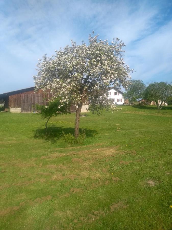 La Maison De Pescate Souprosse Exteriör bild